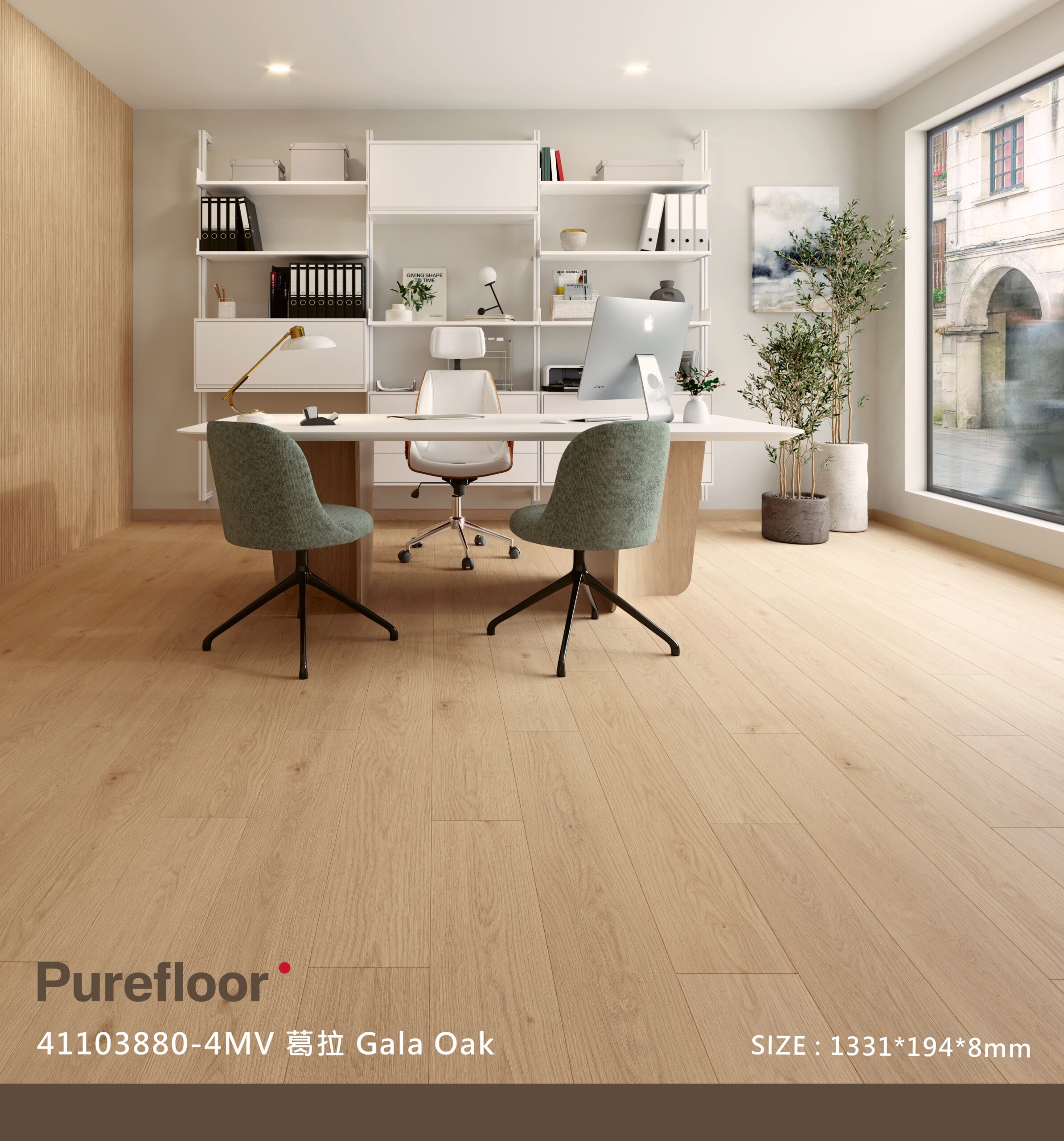 41103880-4MV 葛拉Gala Oak