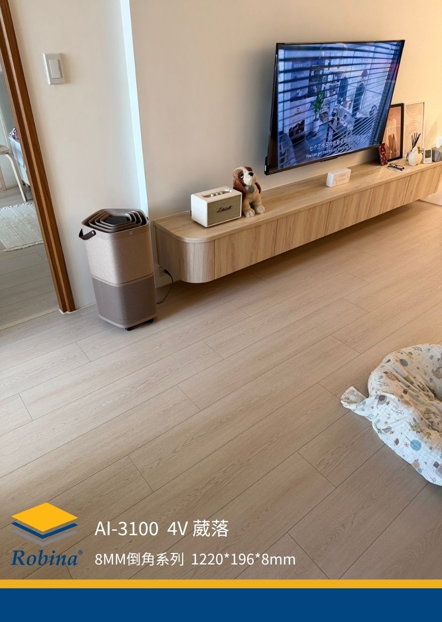 新增少量內文文字 (1)